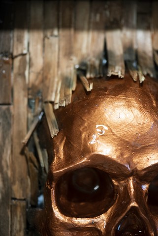 West skull de Wttrwulghe Xavier